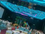 Dyanas Caterers 2026 Image 14